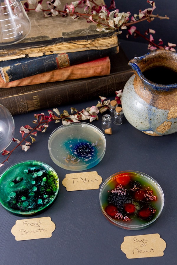Three dishes filled with gelatin in front of Halloween decorations.