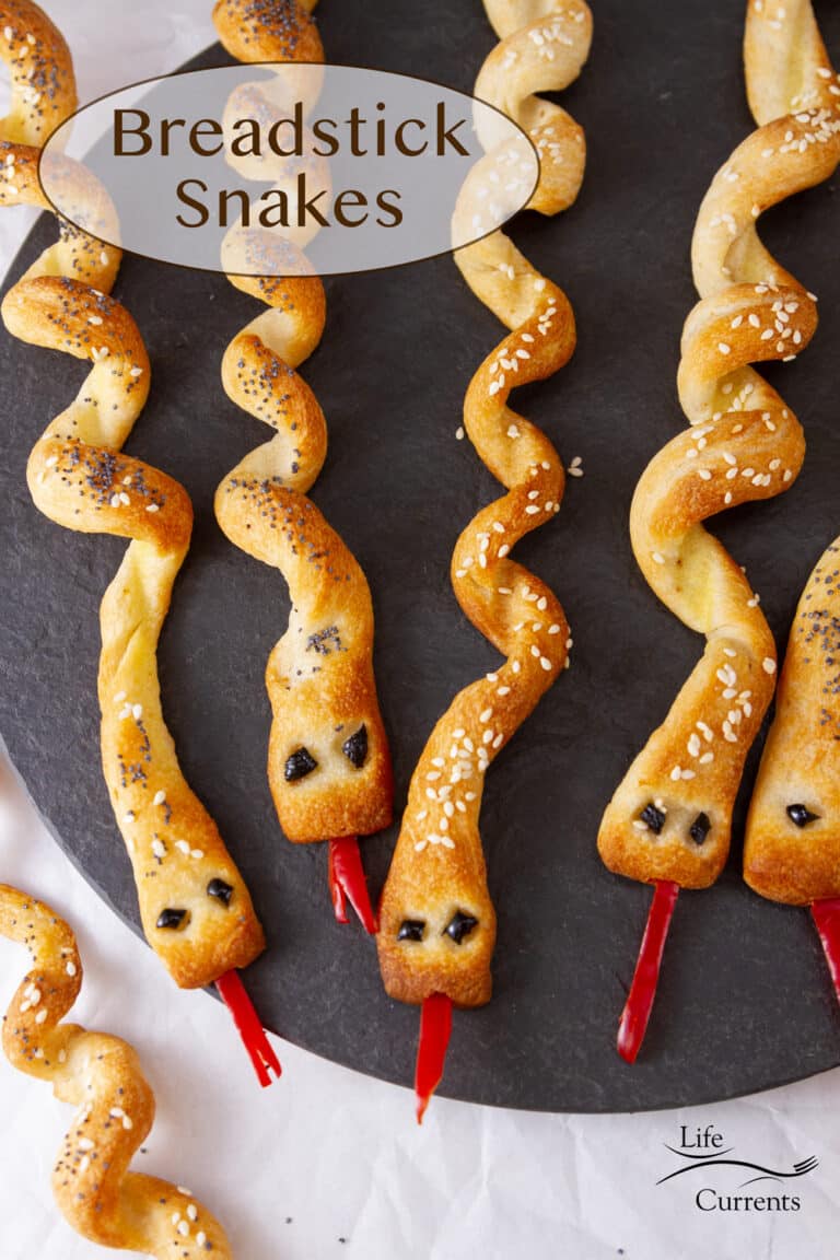 Toaster Snaks Breadstick Snakes - Life Currents