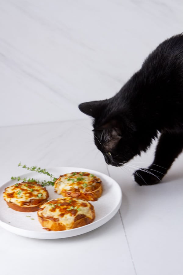 A black cat looking at a plate of cheesy appetizers.