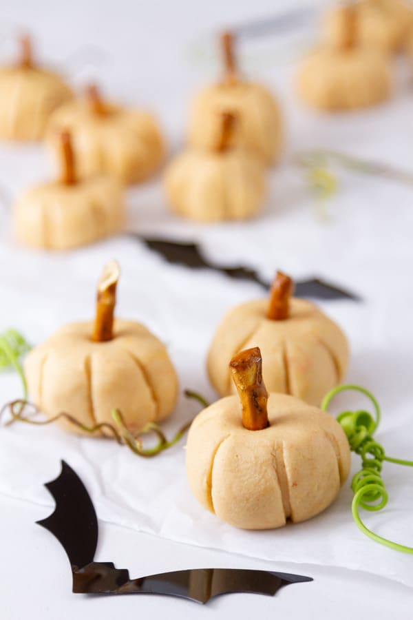 a field of small pumpkins with bats and vines.
