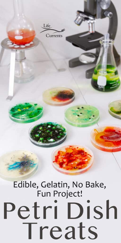 decorated gelatin petri dish treats on a white background with science equipment in the background.