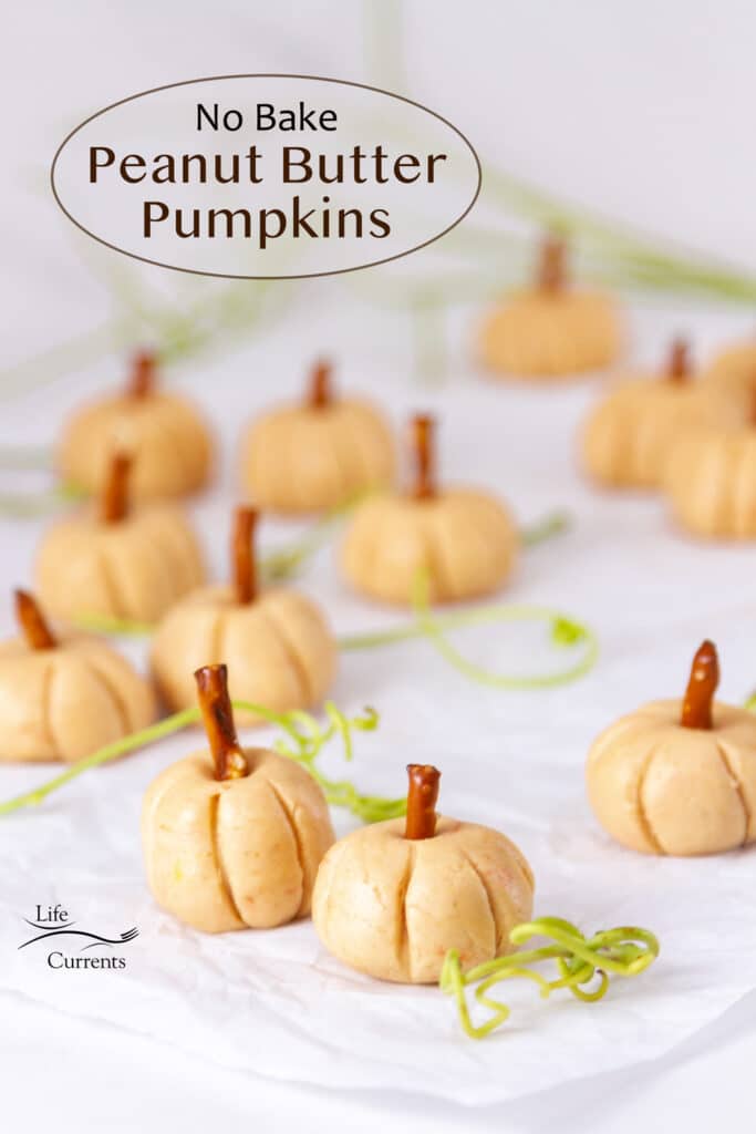 a field of pumpkins made from peanut butter with pretzels for stems, title on upper left.