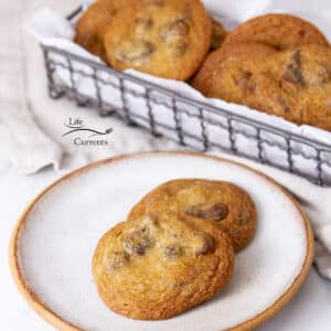 square crop of two cookies on a plate in front of a wire basket full of cookies.