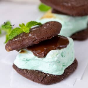 two Peppermint S'mores with fresh mint sprigs on parchment paper.