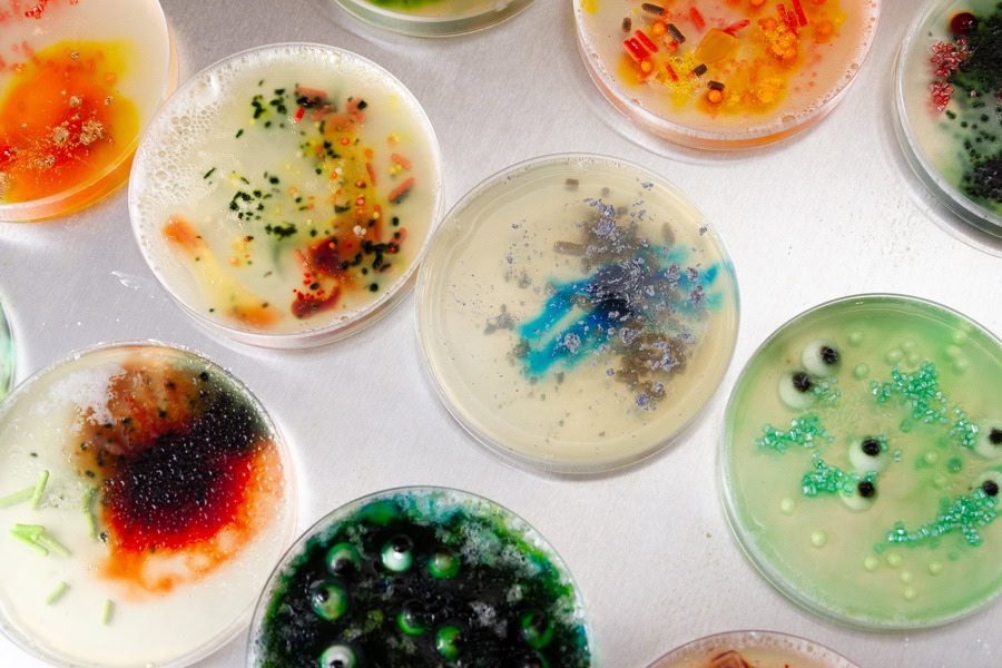 Playful candy treats arranged like colorful Petri dishes for a fun party snack.