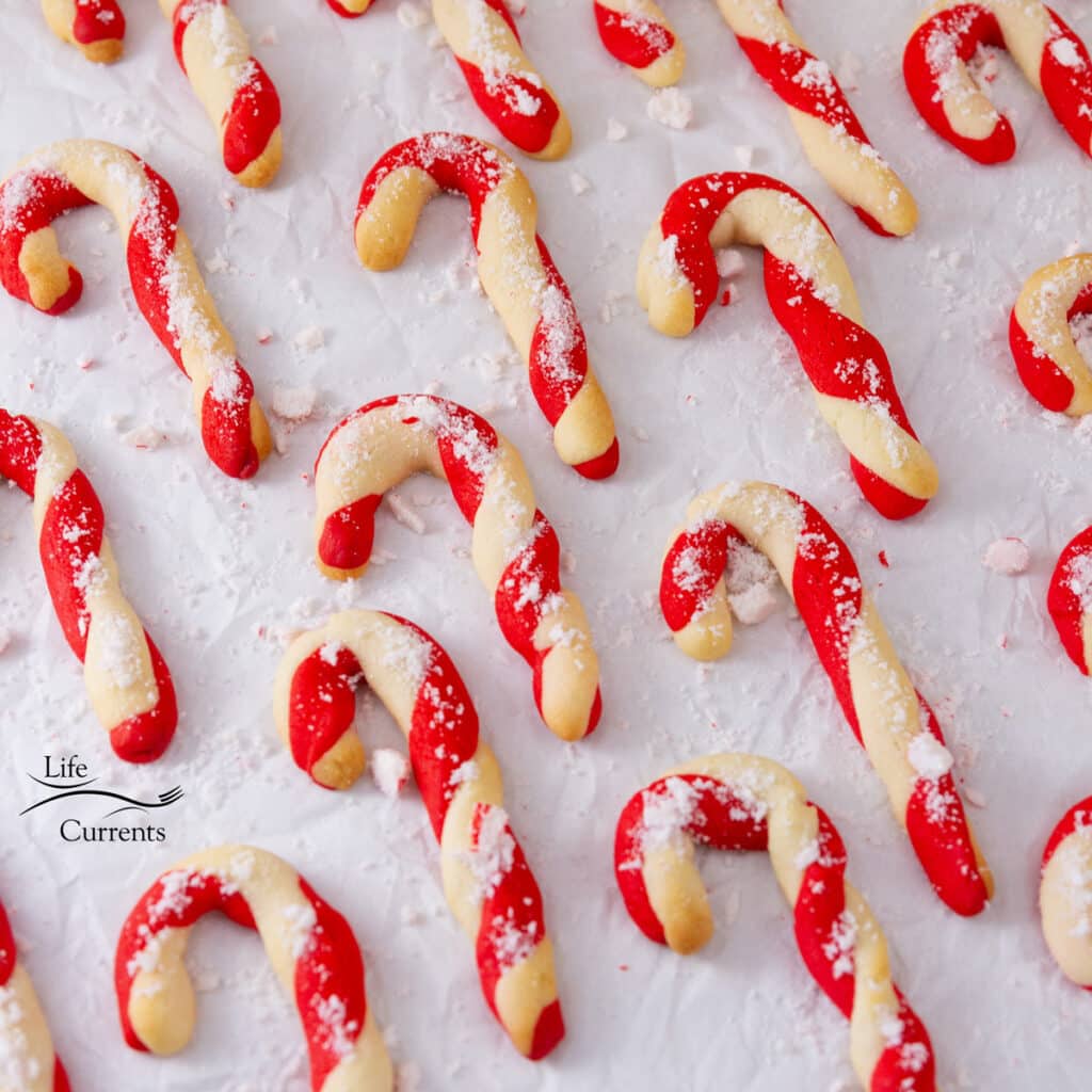 Candy Cane Cookies - Life Currents