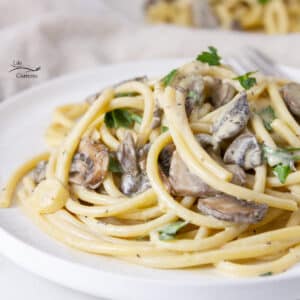 looking at the side of a plate of pasta with creamy sauce, mushrroms, and parsley.