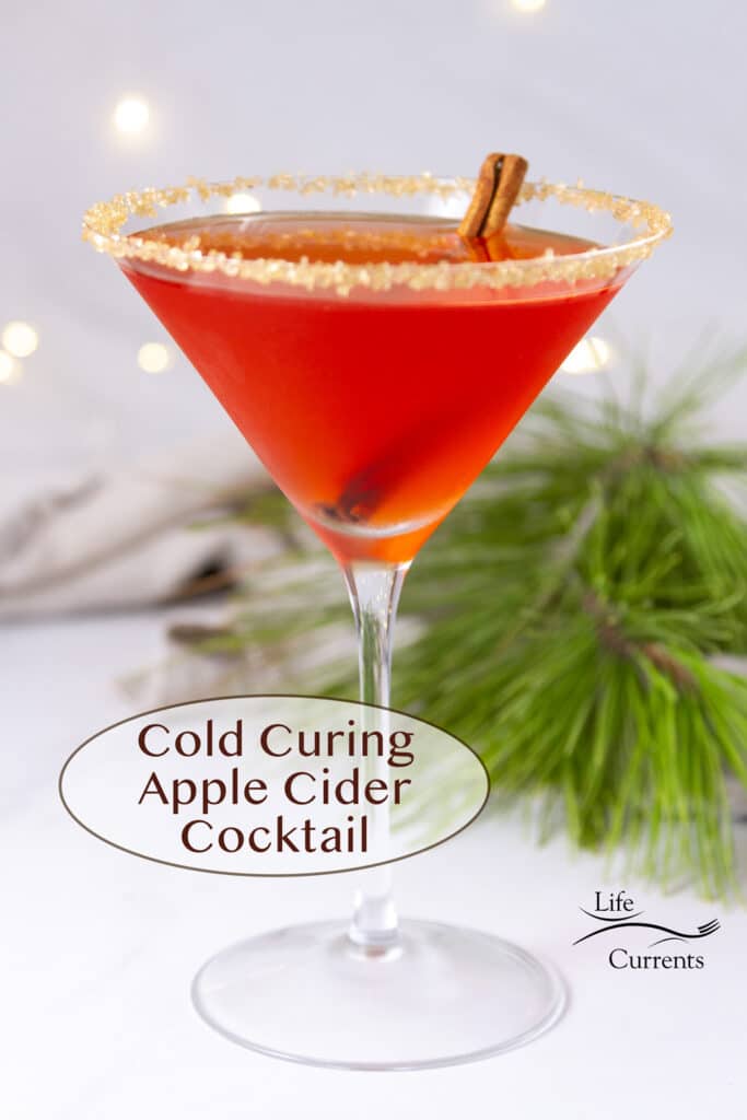 a martini glass filled with mulled apple cider and a cinnamon stick in front of pine greens.