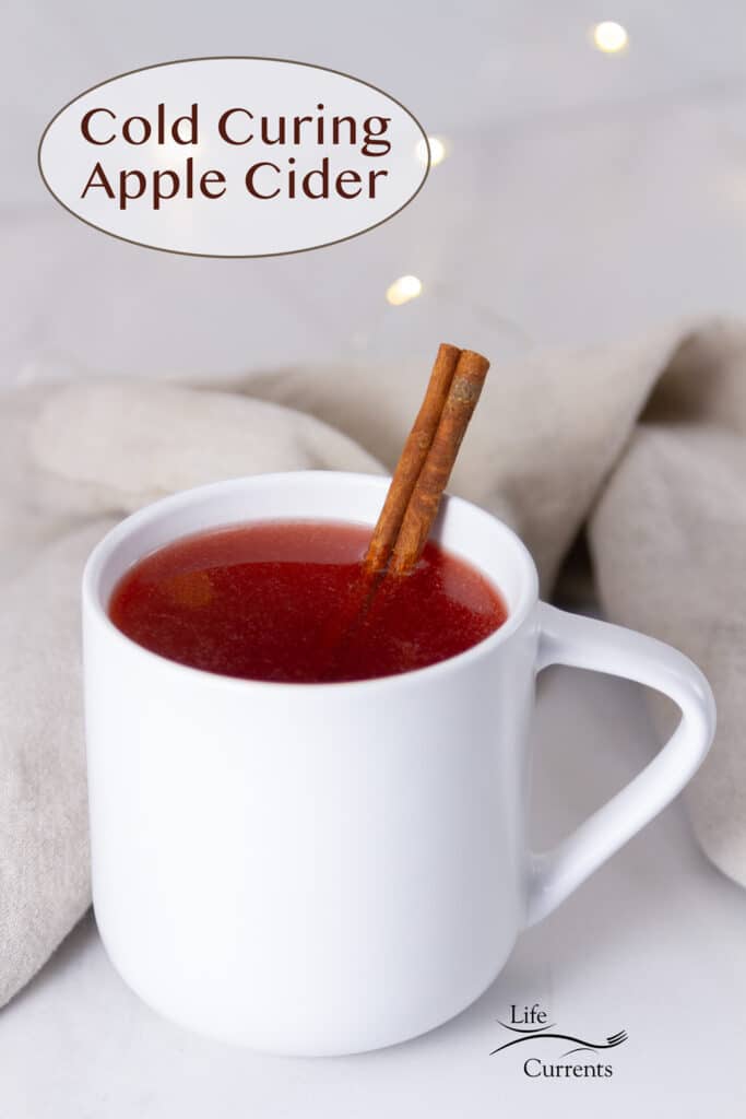 a white mug filled with Cold Curing Apple Cider and a cinnamon stick in front of twinkle lights.