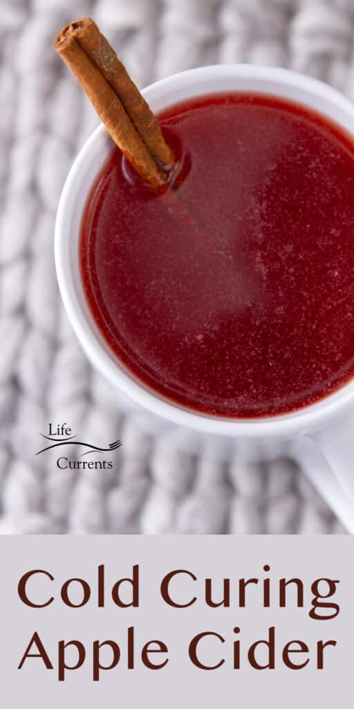 Looking down into a mug filled with Cold Curing Apple Cider and a cinnamon stick, mug is on a cozy fabric background.