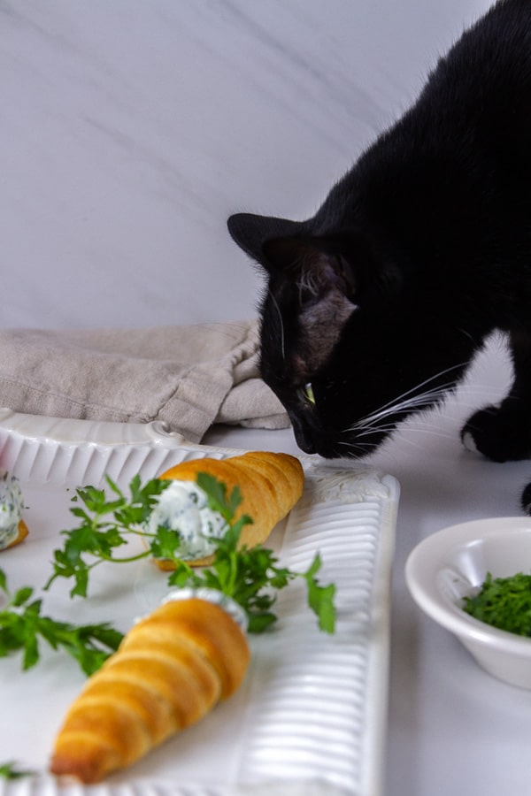 a black cat looking at a crescent roll that's shaped like a carrot on a white platter.