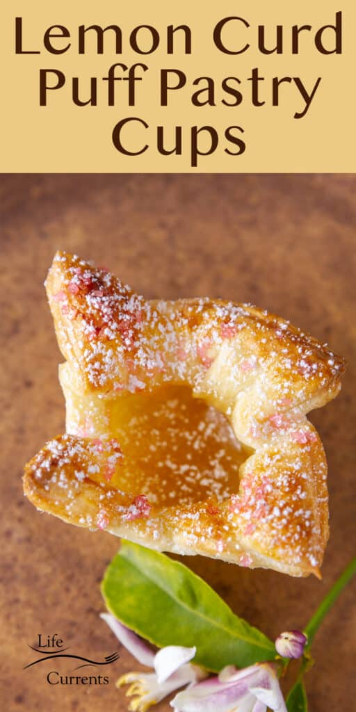 A puff pastry cup filled with lemon curd and sprinkled with sugar on a brown plate with a lemon flower next to it.