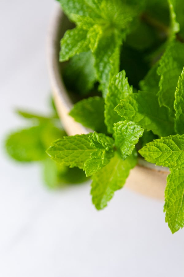 close up on a fresh mint leaf, the sprigs of mint are in a bowl.
