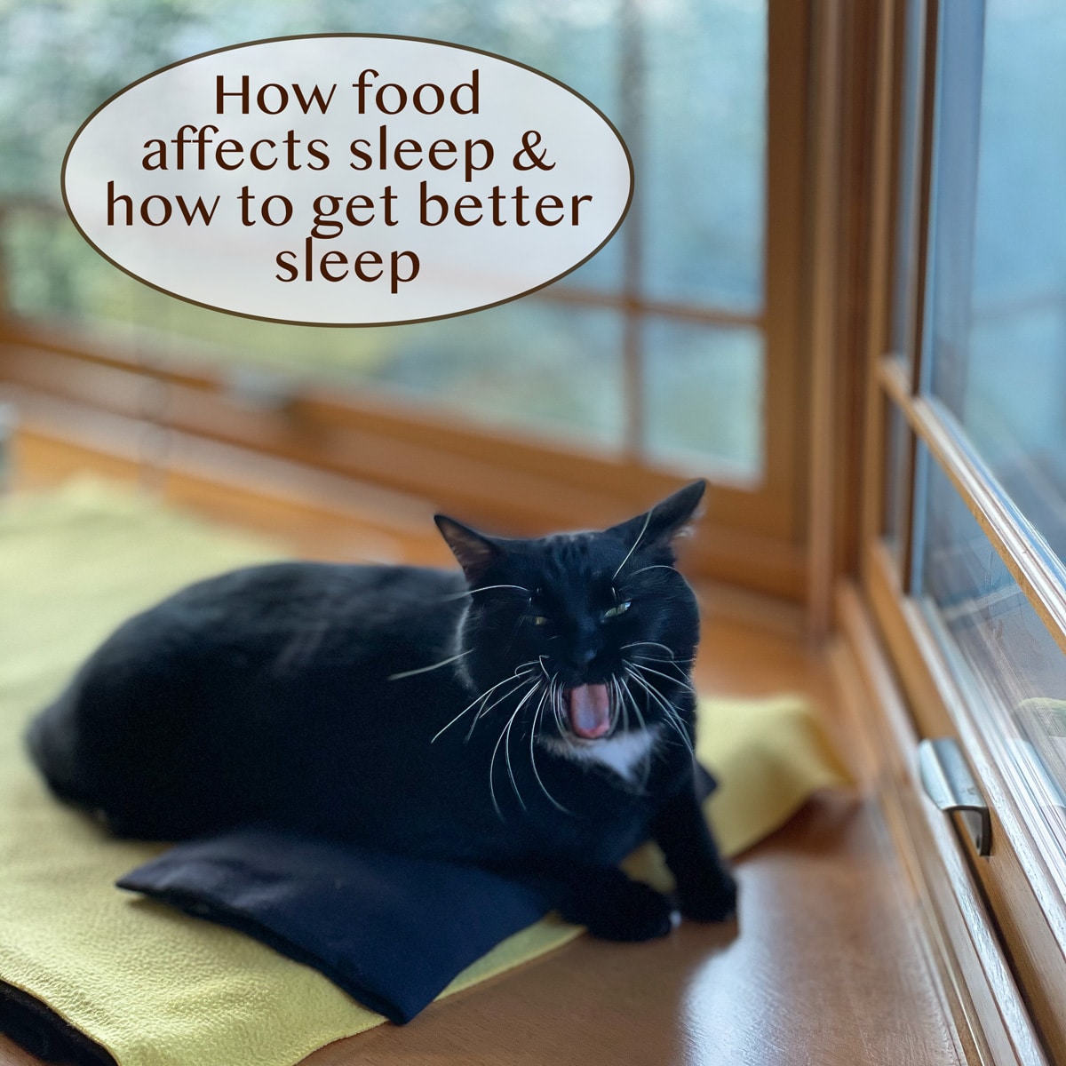 a yawning black cat on a yellow blanket in a window.