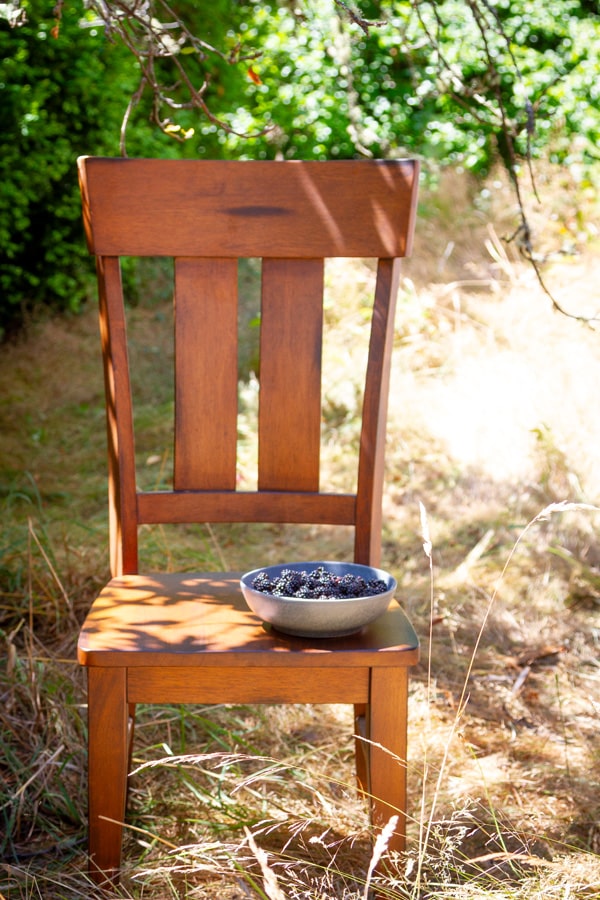a wooden chair in an outdoor field with a bowl of berries on it.
