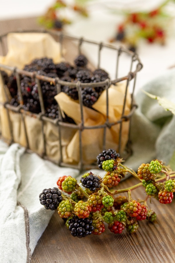 blackberry vine next to a wire basket of berries on a wooden background with a green cloth napkin.