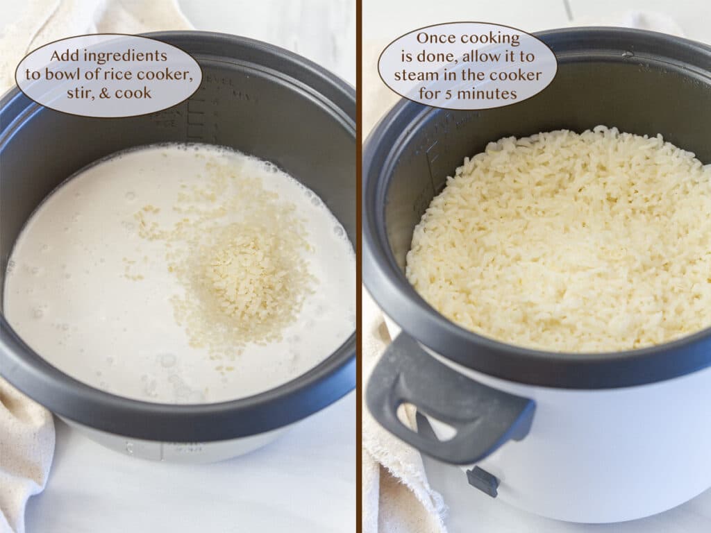 Coco Rice Method Coconut Rice - Life Currents