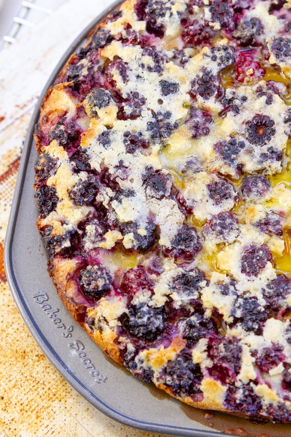 baked tart with blackberries in a metal pan on a baking sheet.