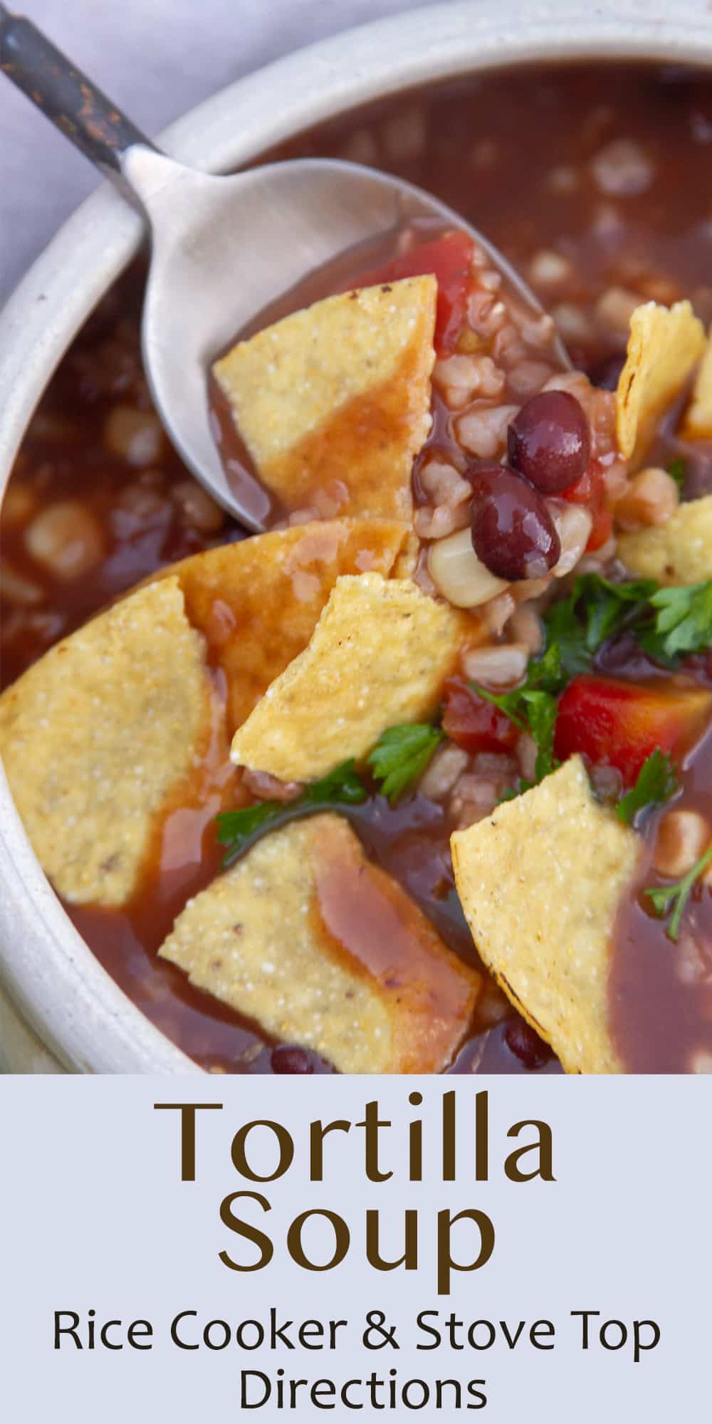 a spoon serving up some soup from a bowl of tomato based soup topped with chips.