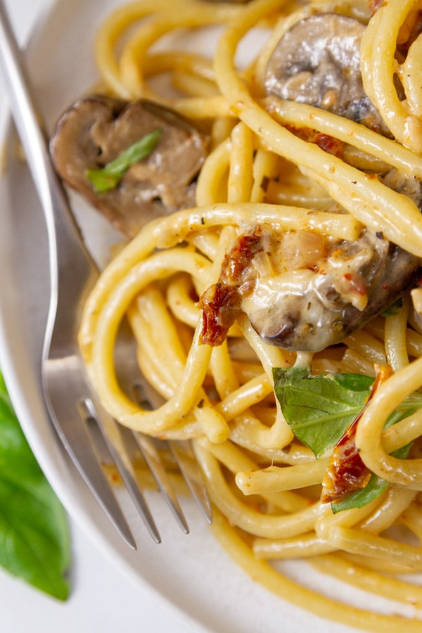 close up on pasta in creamy mushroom sauce on a white plate with a fork.