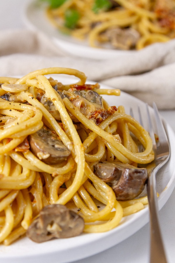 two plates of pasta with mushrooms and sun dried tomatoes.