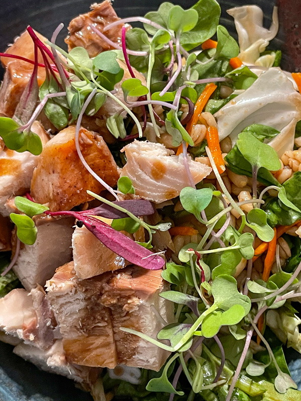 a grain bowl with smoked salmon sprouts and lots of veggies.