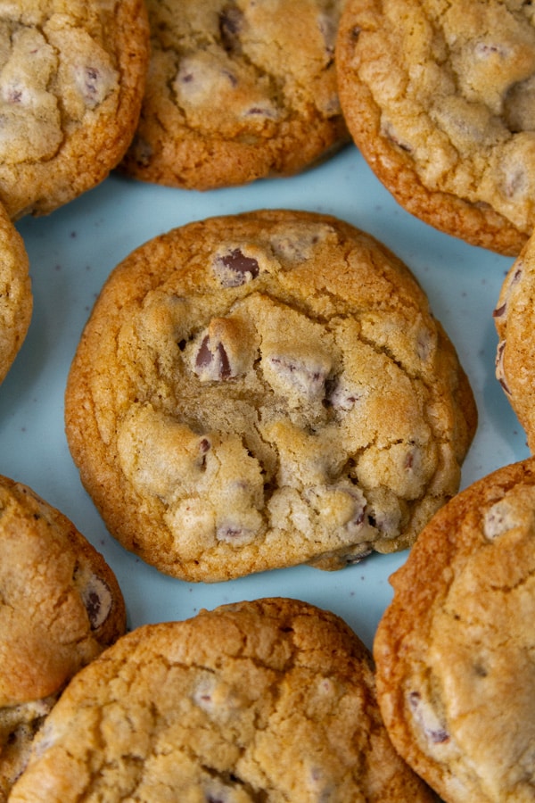 chocolate chip cookies on a blue plate.