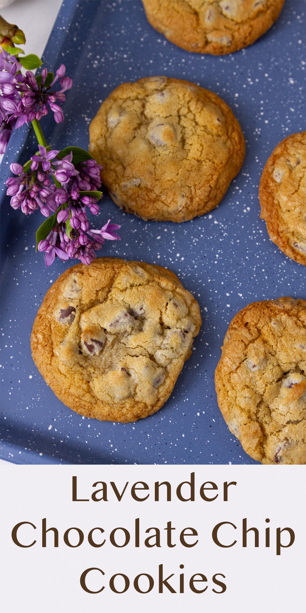 a blue cookie sheet with cookies on it and a lilac flower next to the cookie sheet.