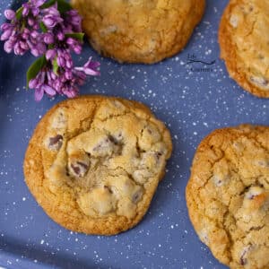 square crop of cookies on a blue cookie sheet with a lilac flower in the upper left corner.