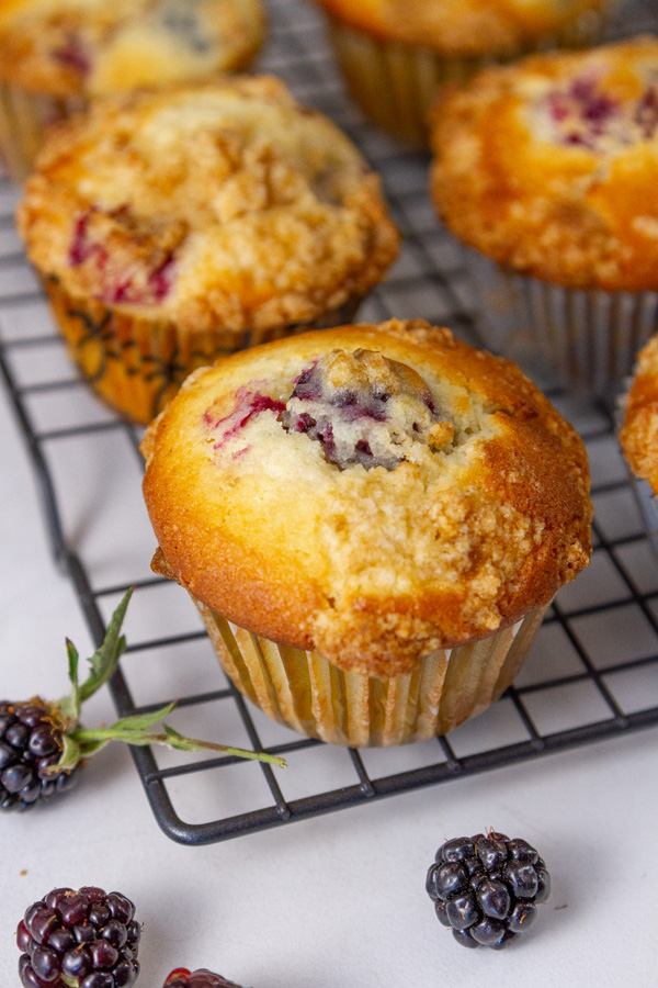 muffins cooling on a wire rack and some blackberries scattered around.