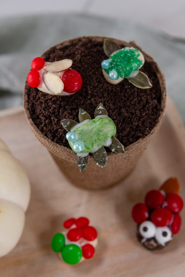 candy bugs on a pot filled with "dirt" made from crushed Oreos.