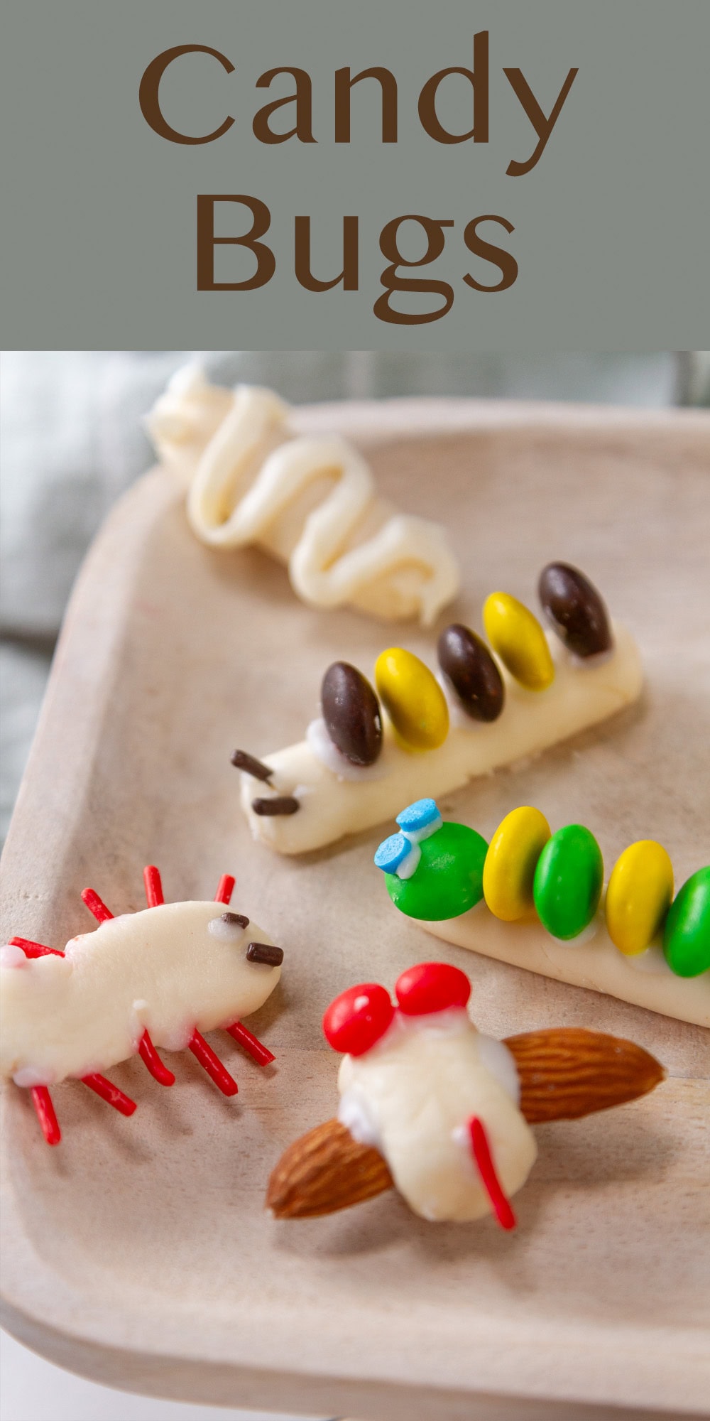 candy made into bug shapes and decorated for a fun edible craft.