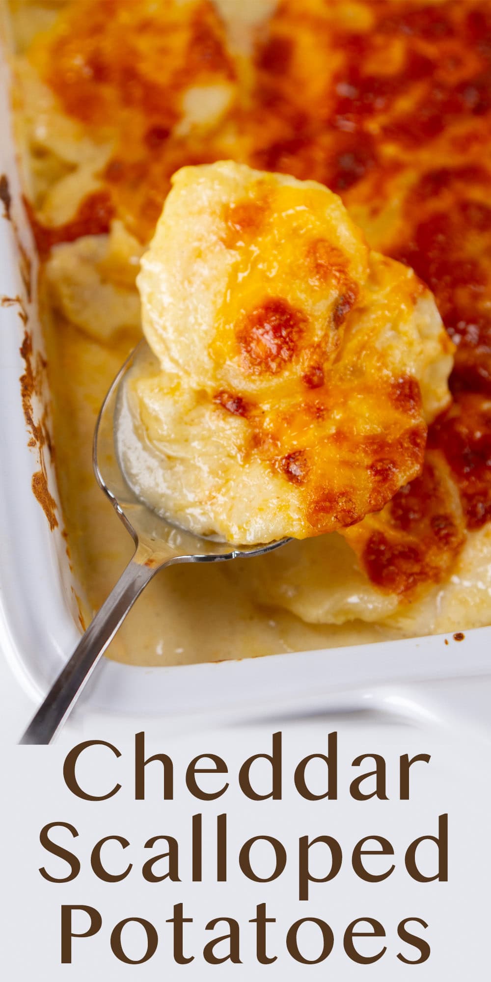 a spoonful of scalloped potatoes being served out of the dish.