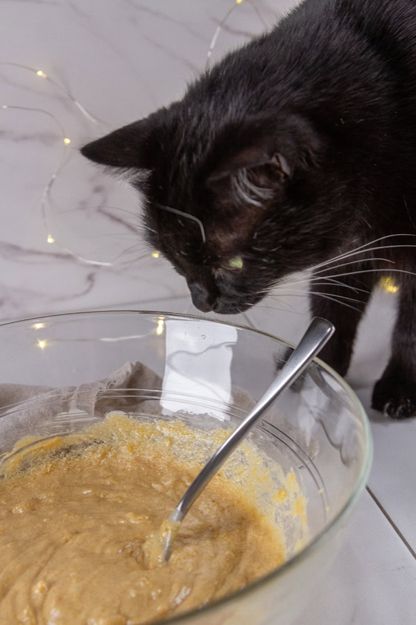 a black cat looking at a bowl of batter.