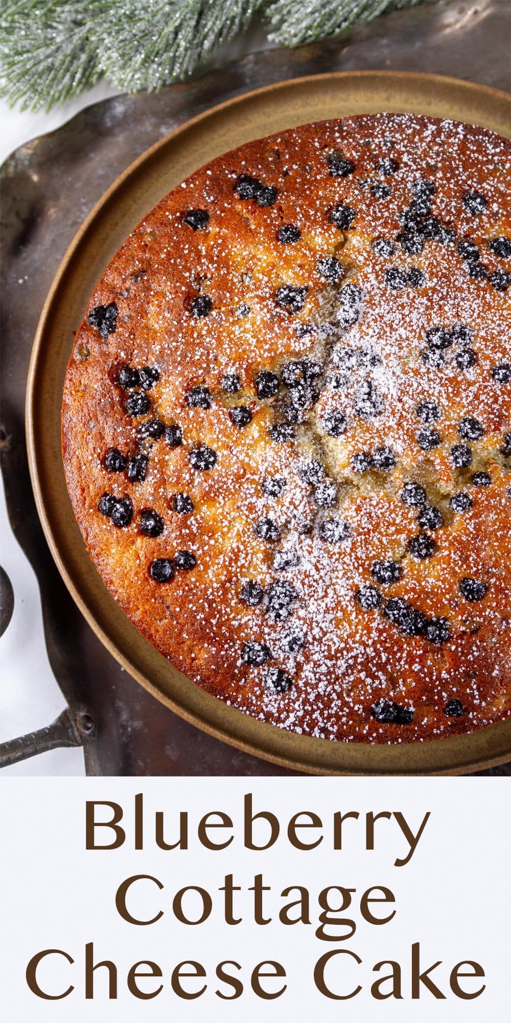looking down on a blueberry cake with powdered sugar.