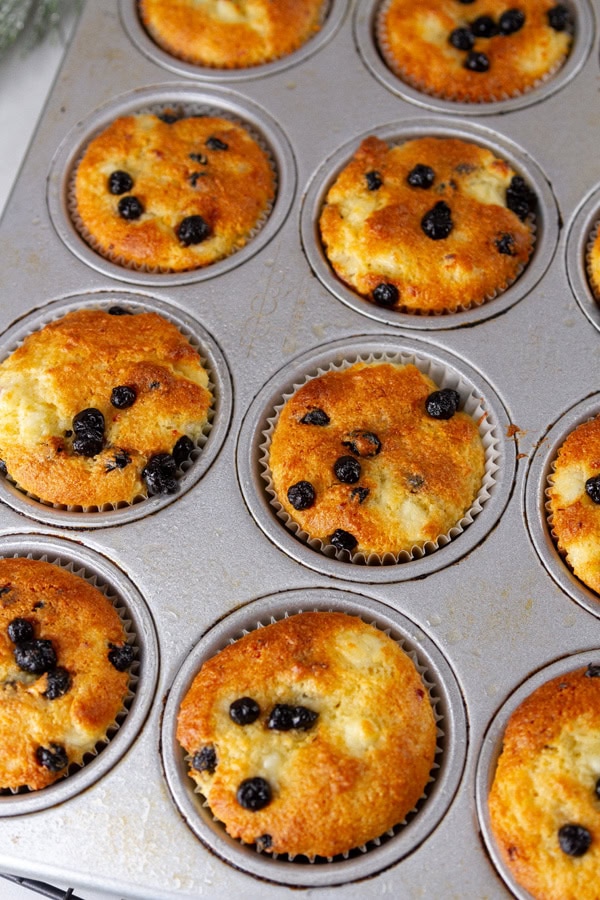 blueberry muffins in a muffin pan.