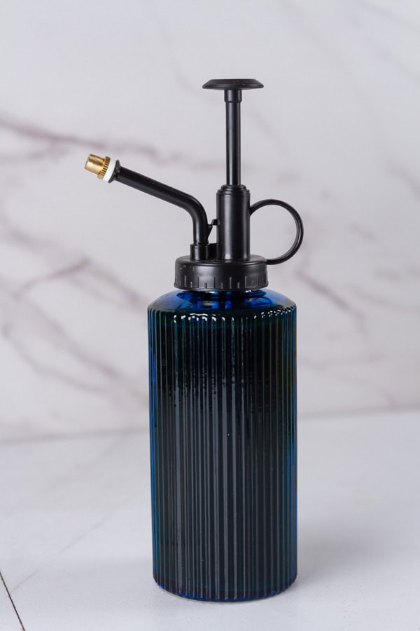 a plant spray bottle on a white background.