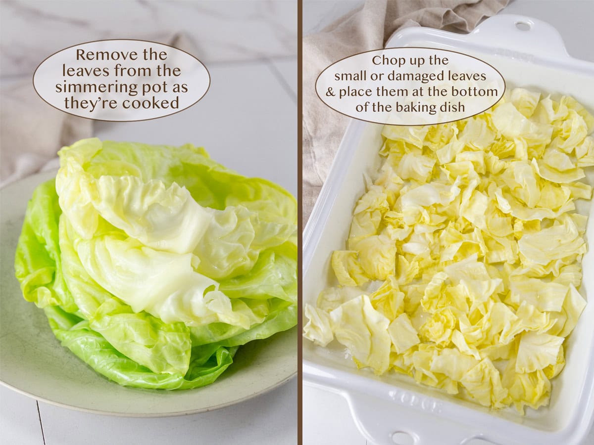 cooked cabbage leaves on a plate of left and chopped and placed at the bottom of a baking dish on right.