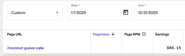 screenshot of the earnings of this page for 2025.