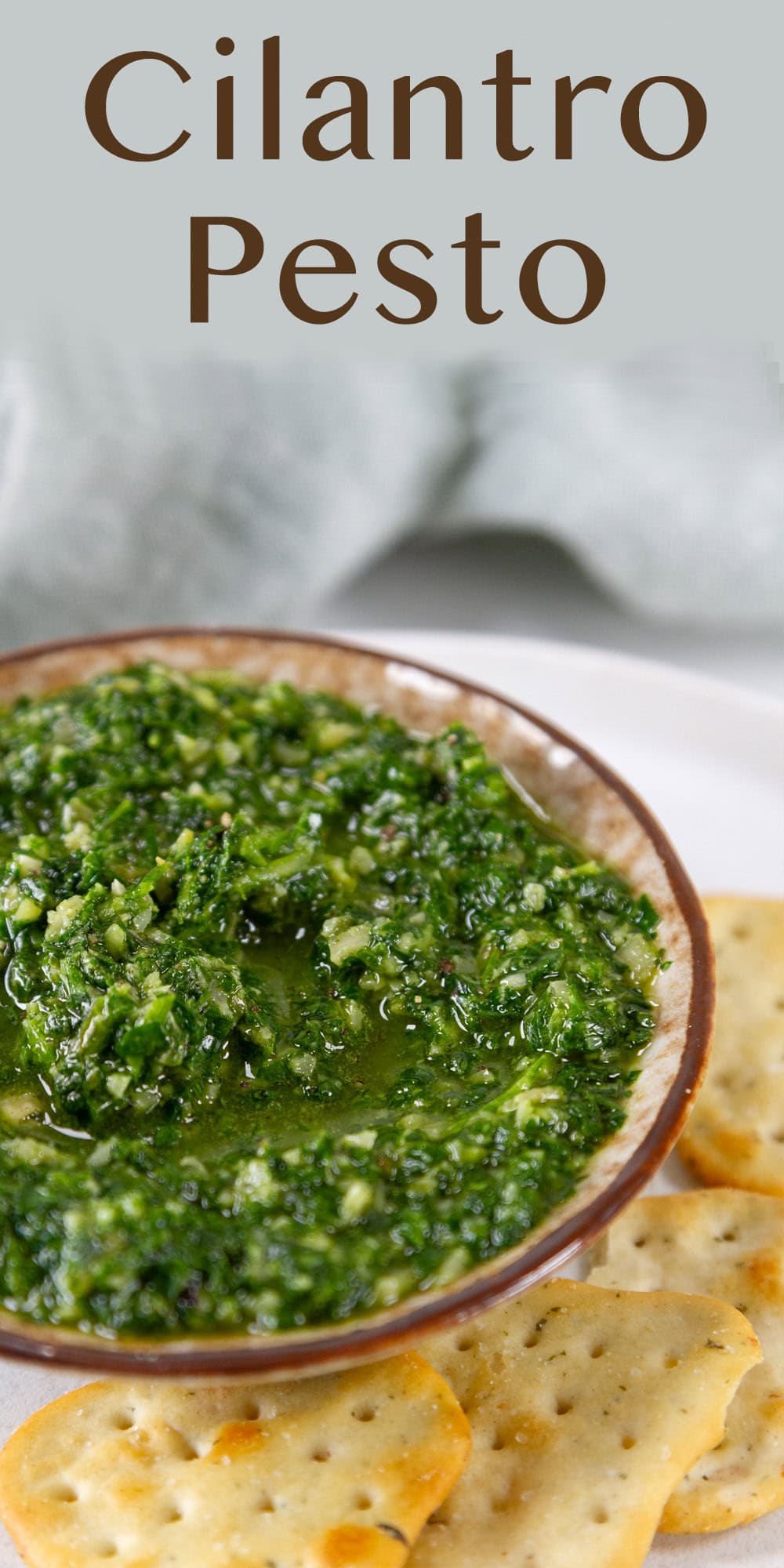 a small bowl with with pesto and some crackers around it.
