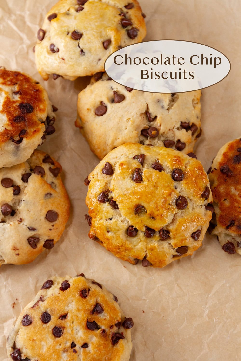 chocolate chip biscuits on a brown piece of parchment paper.