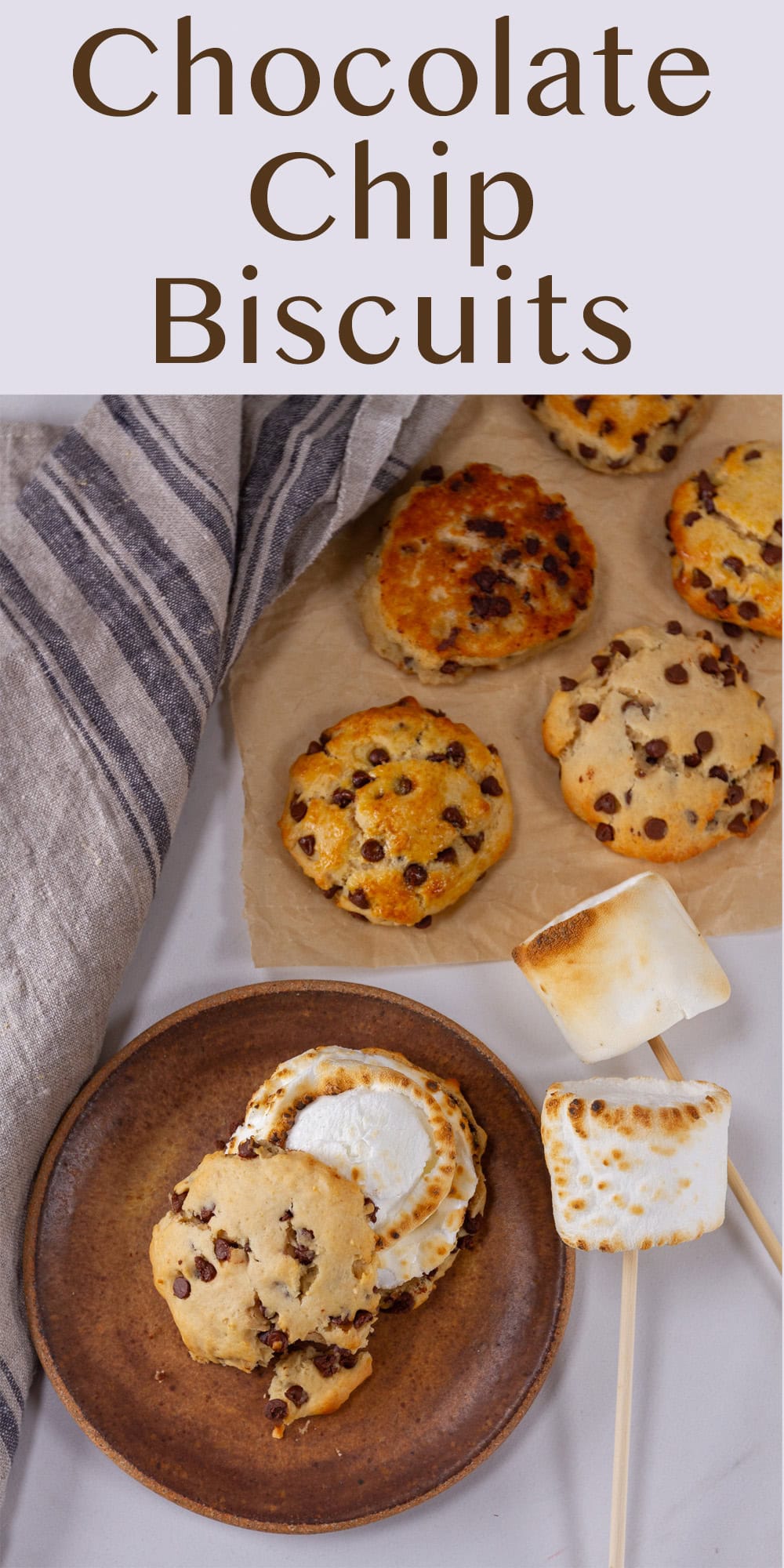 chocolate chip biscuits on parchment paper in the upper right and a biscuit on a plate with a toasted marshmallow inside in the lower left.