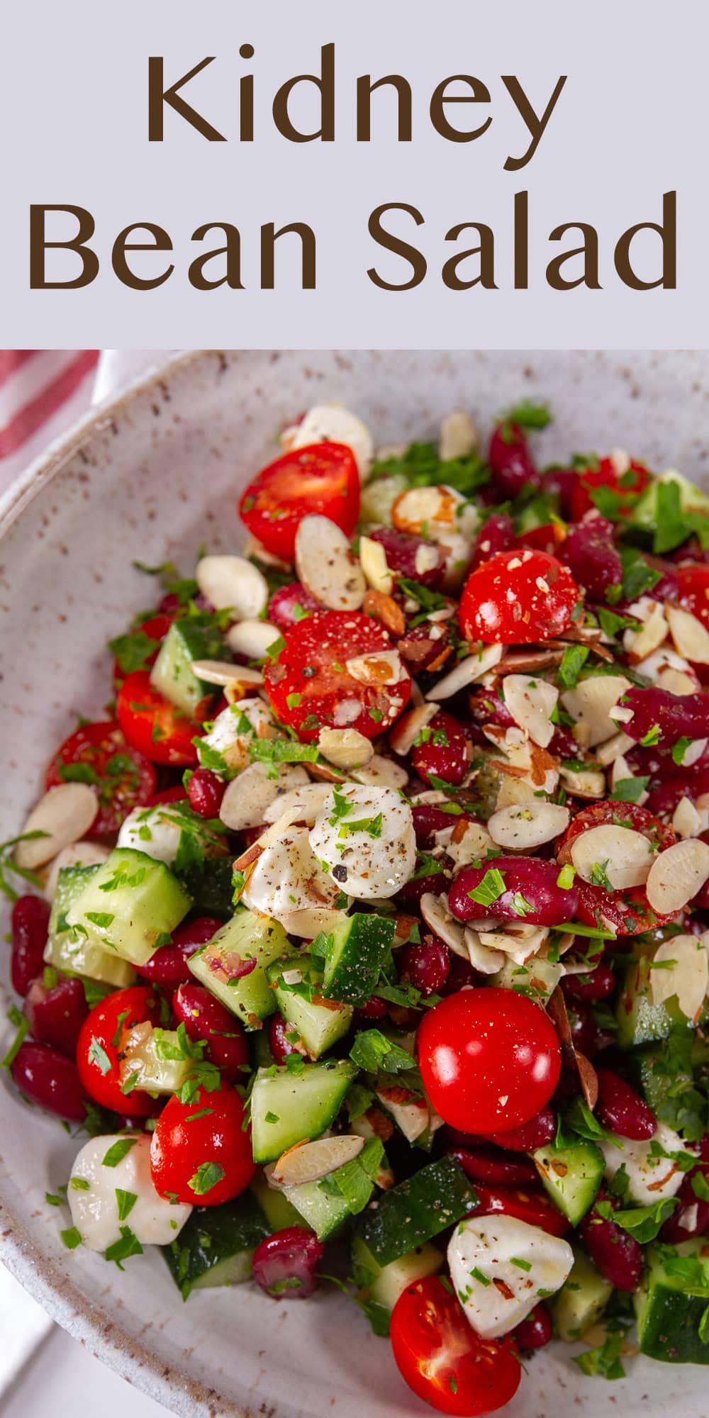 close up on a bean salad with cherry tomatoes, cucumbers, fresh mozzarella.