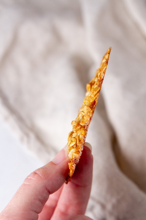 a lace cookie being held up so you can see how thin and crisp it is.