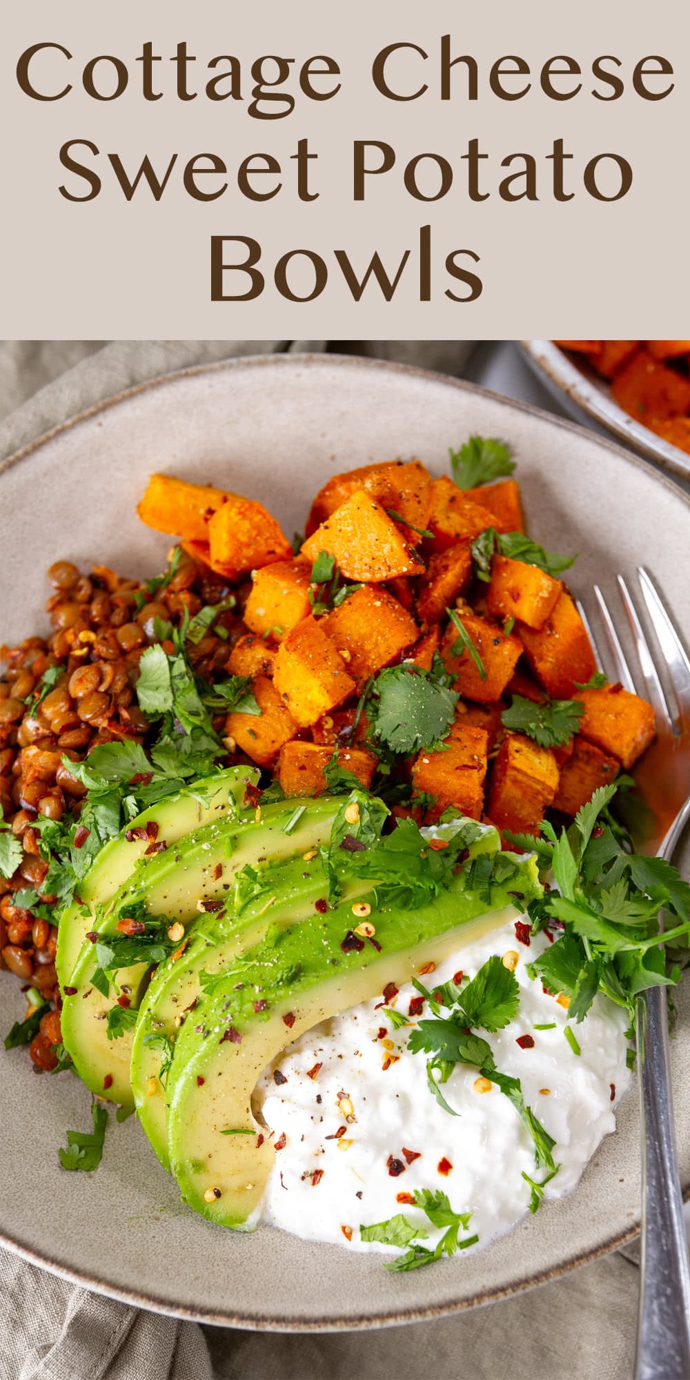 looking down in a bowl filled with sweet potatoes, lentils, avocado, and cottage cheese.