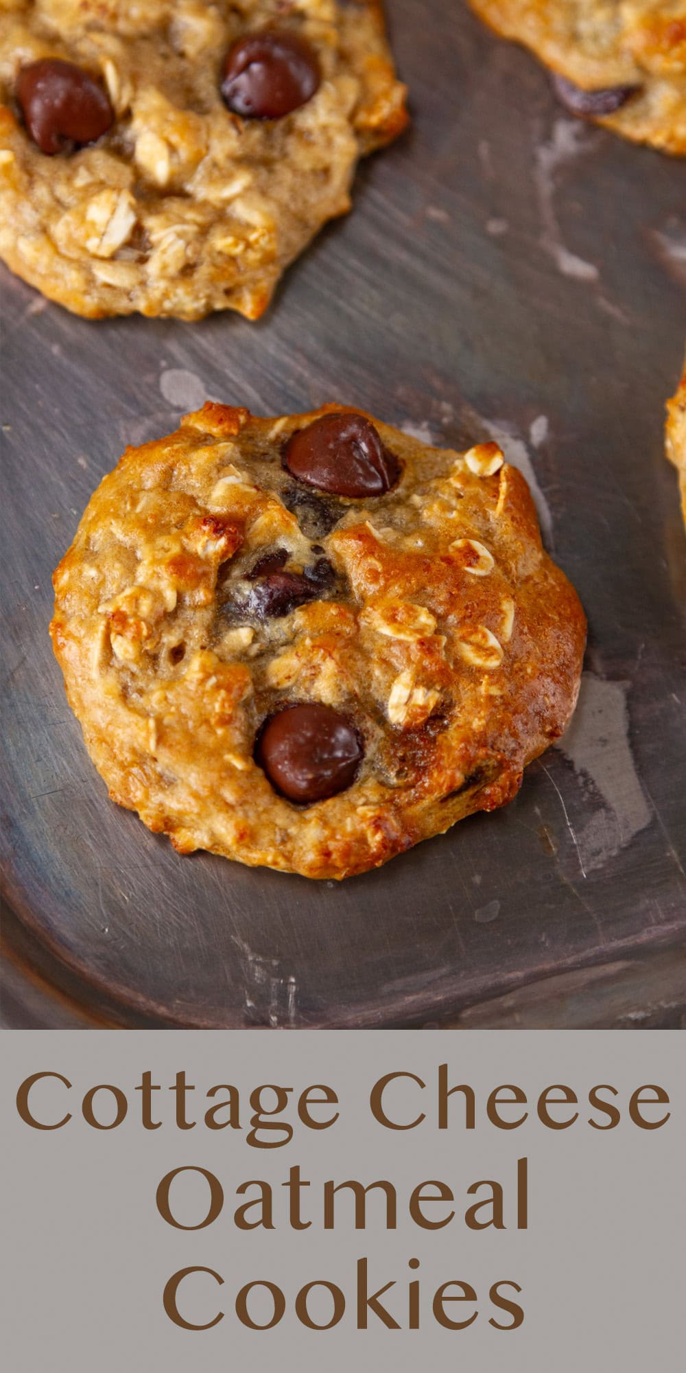 a metal tray with cookies on it and the title "Cottage Cheese Oatmeal Cookies" underneath.