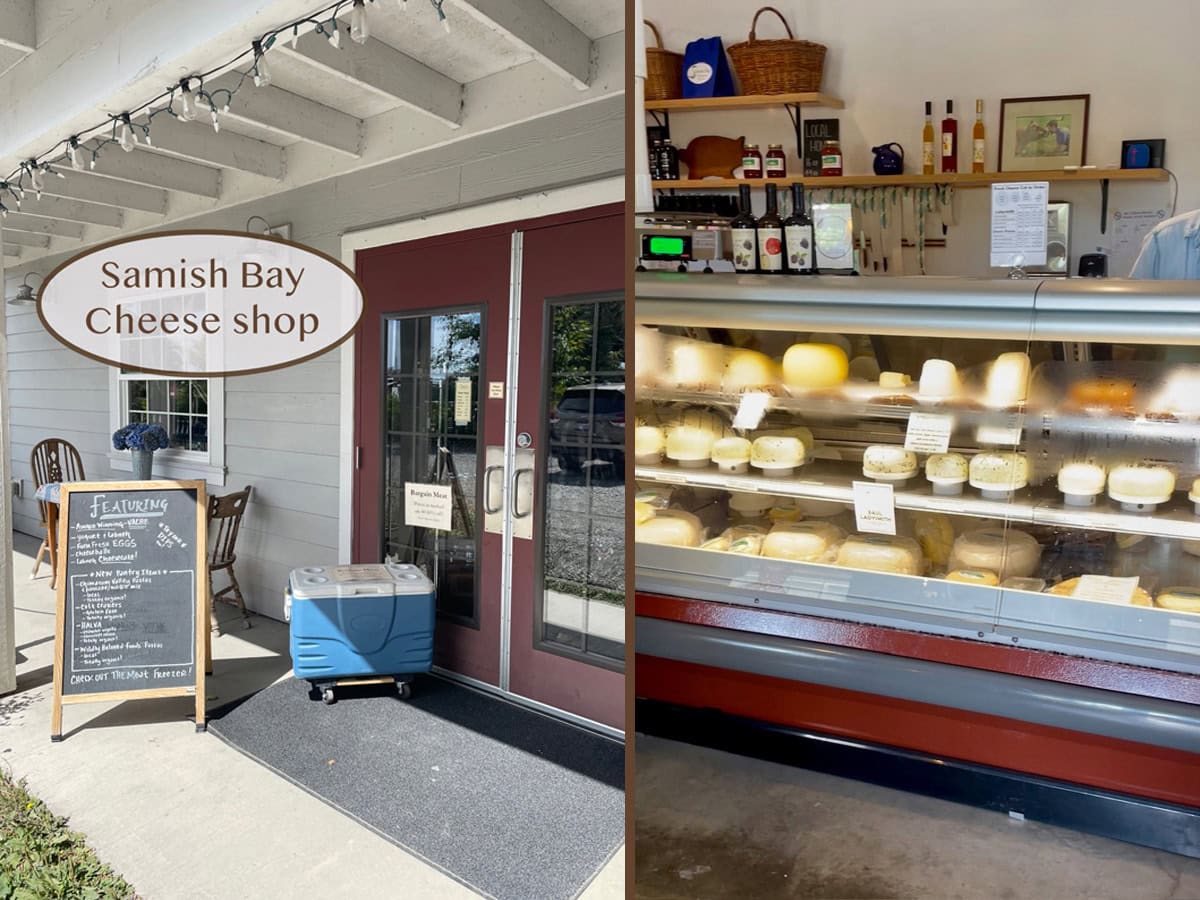 Samish Bay cheese farm in Washington.