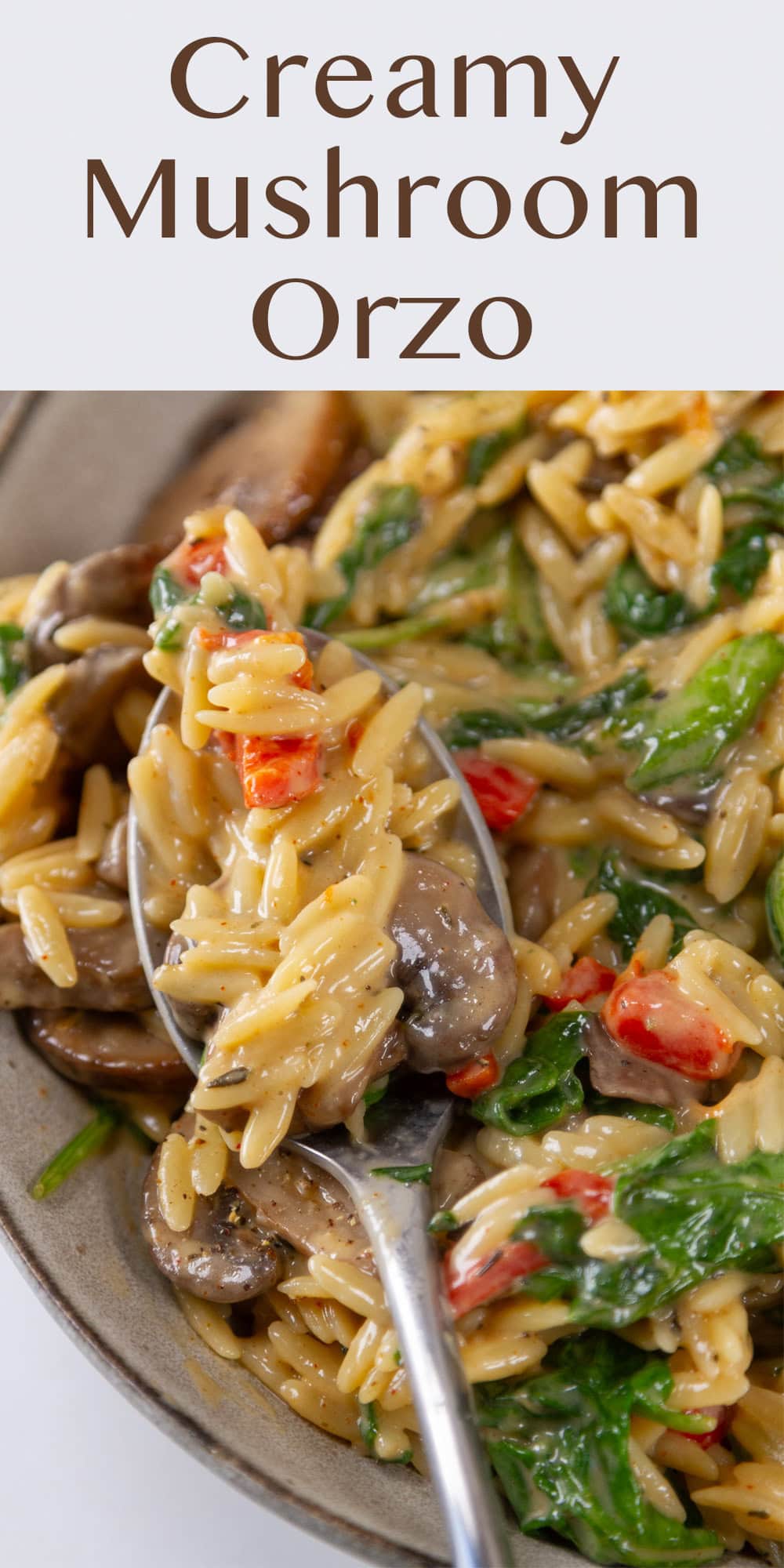 a bowl of orzo pasta with a spoon in it.