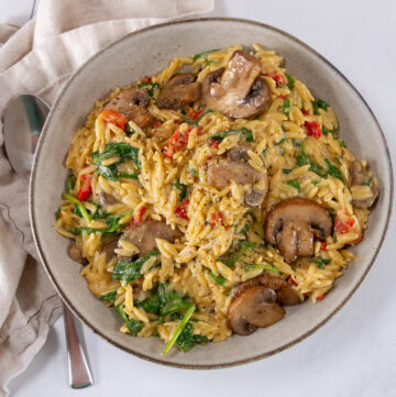 square crop looking down into a serving bowl of orzo pasta with veggies in a creamy sauce.