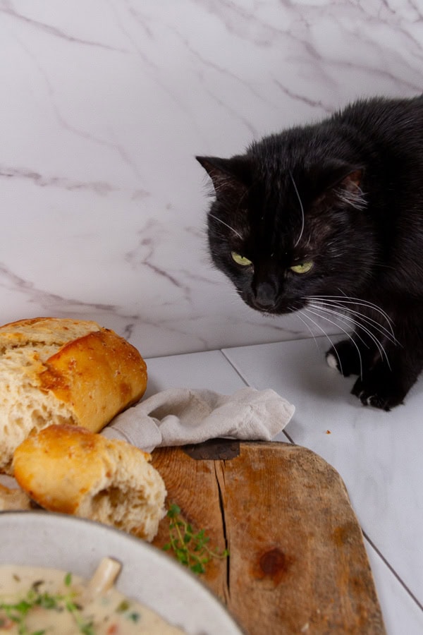 a black cat looking at soup and bread.